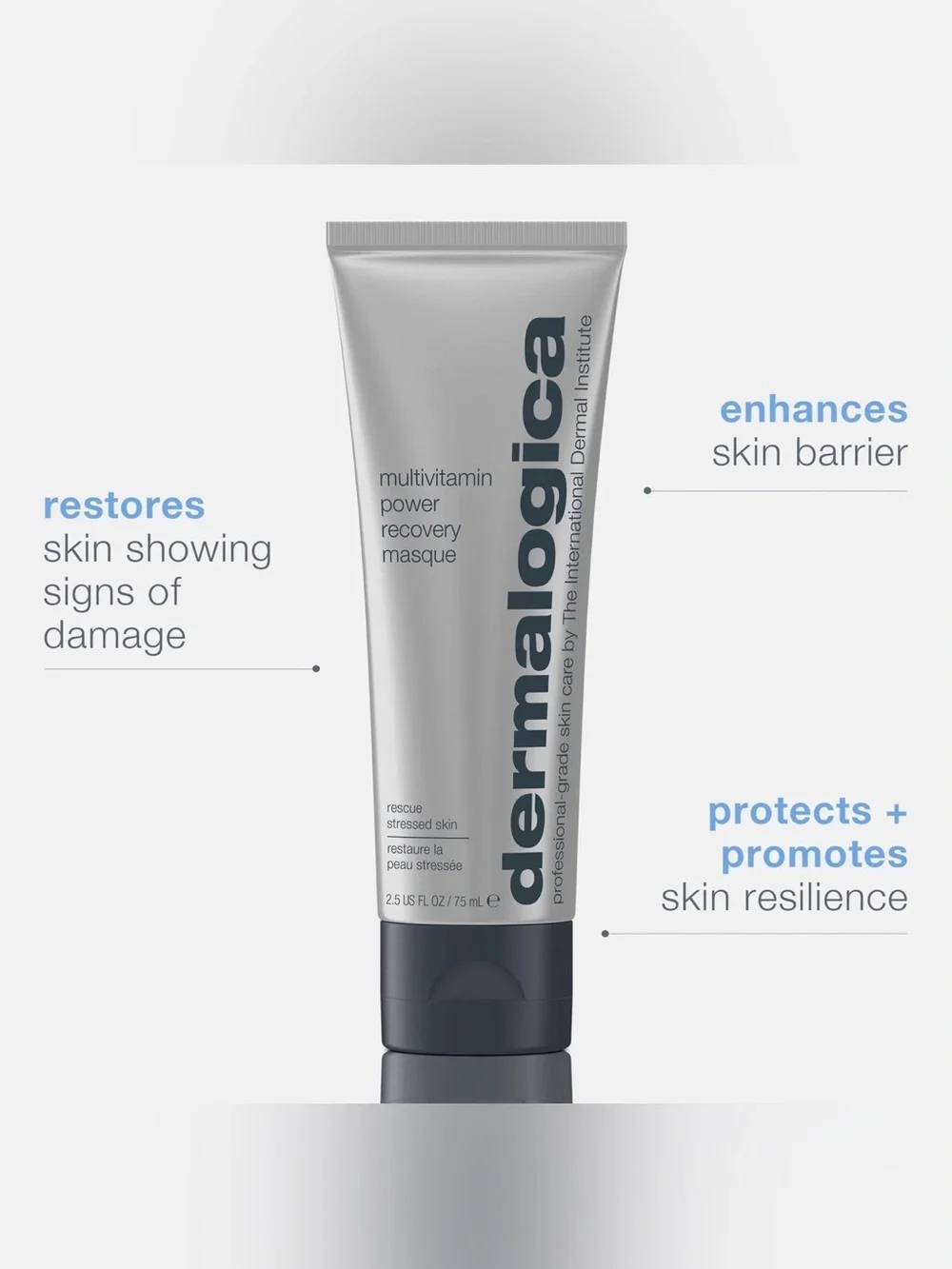 Dermologica multivitamin power recovery masque